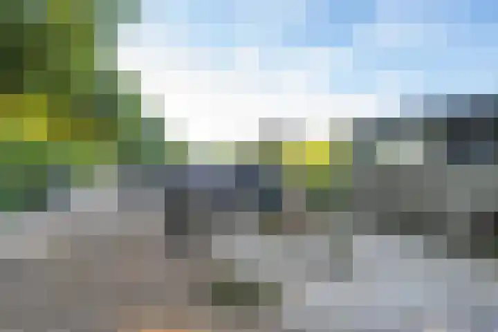 Haneman 3 Winssen thumbnail 71