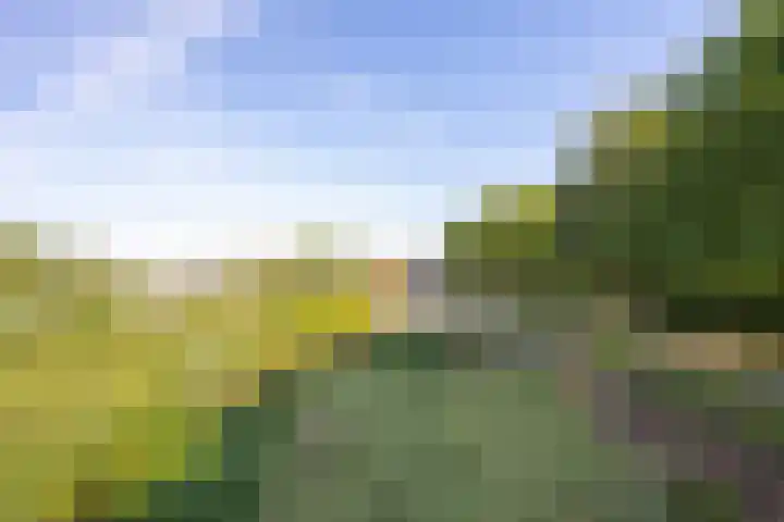 Haneman 3 Winssen thumbnail 72