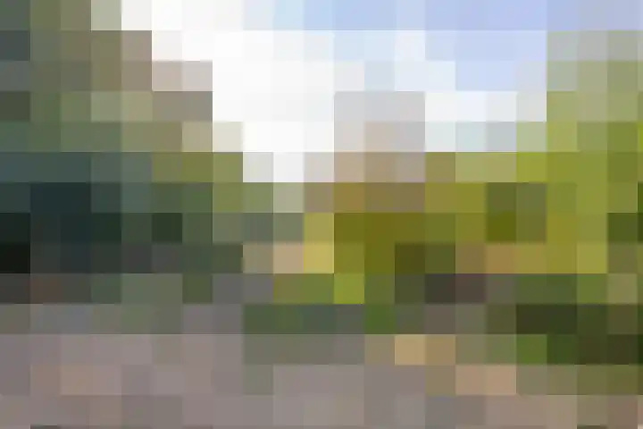 Haneman 3 Winssen thumbnail 73