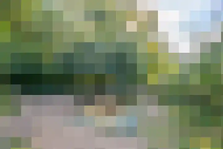 Haneman 3 Winssen thumbnail 74