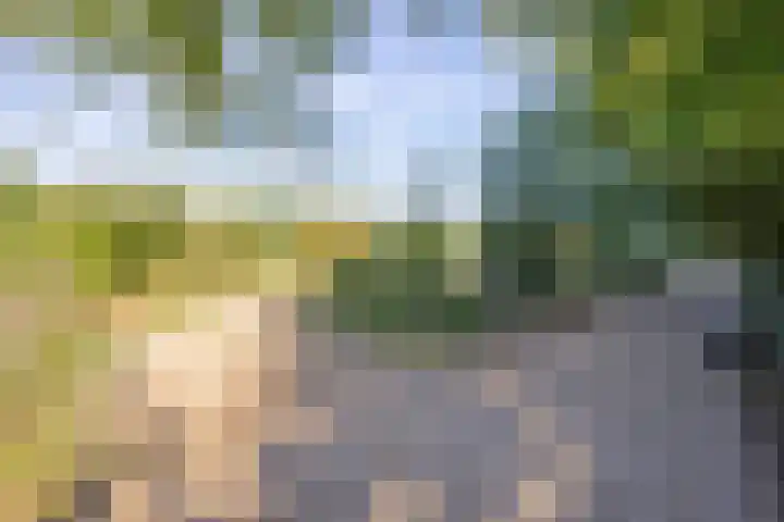 Haneman 3 Winssen thumbnail 77