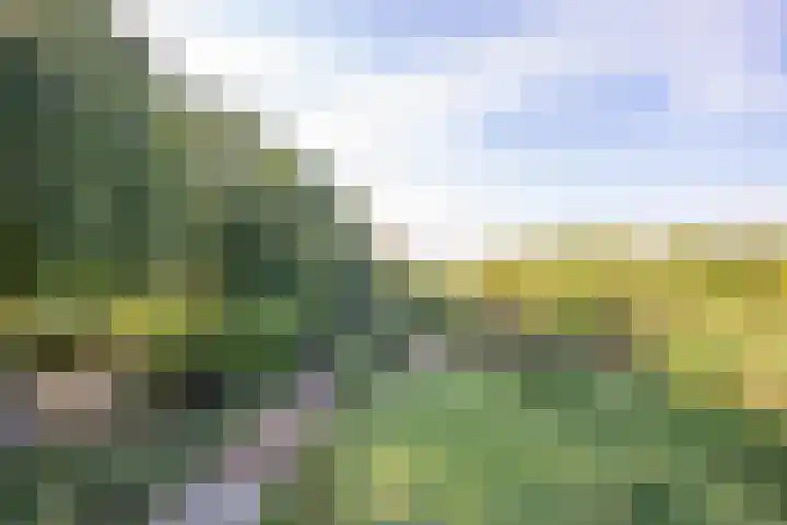 Haneman 3 Winssen thumbnail 78