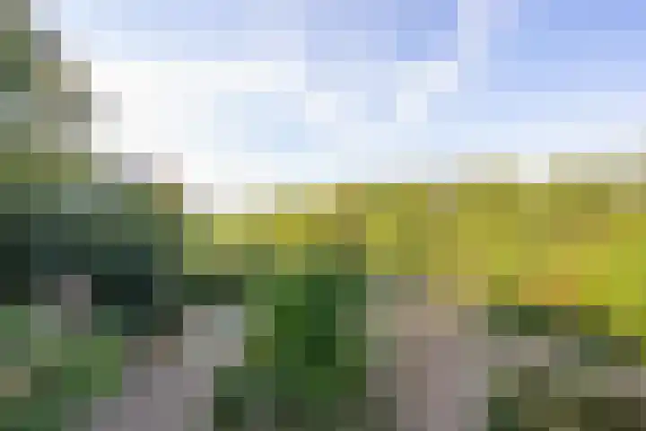 Haneman 3 Winssen thumbnail 79