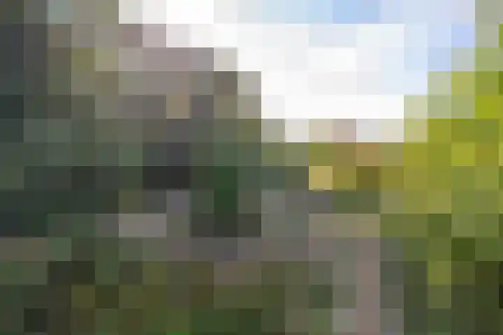 Haneman 3 Winssen thumbnail 80