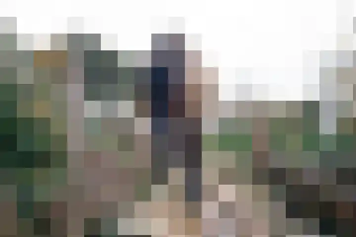 Haneman 3 Winssen thumbnail 81