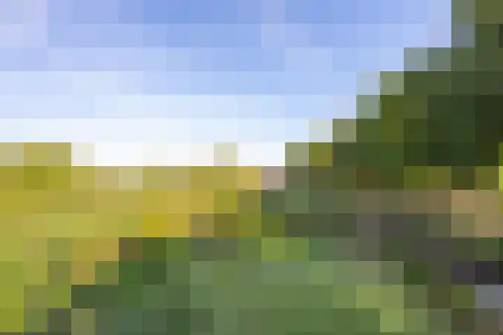 Haneman 3 Winssen thumbnail 82
