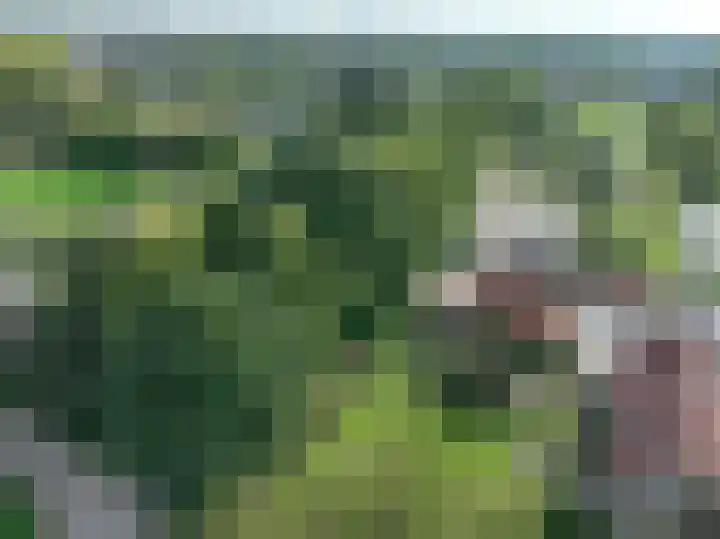 Haneman 3 Winssen thumbnail 83