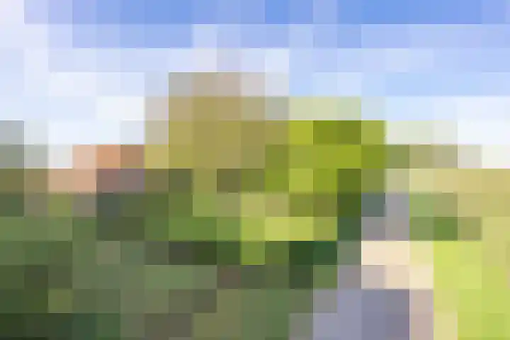 Haneman 3 Winssen thumbnail 84