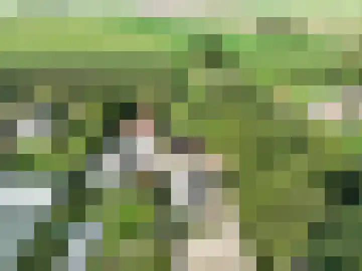 Haneman 3 Winssen thumbnail 85