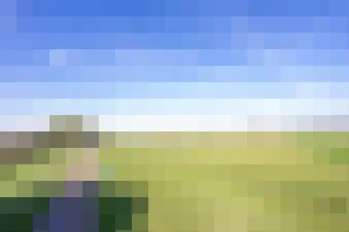 Haneman 3 Winssen thumbnail 86