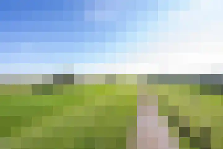 Haneman 3 Winssen thumbnail 87