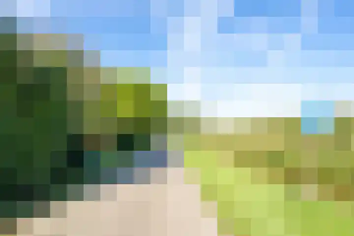 Haneman 3 Winssen thumbnail 88