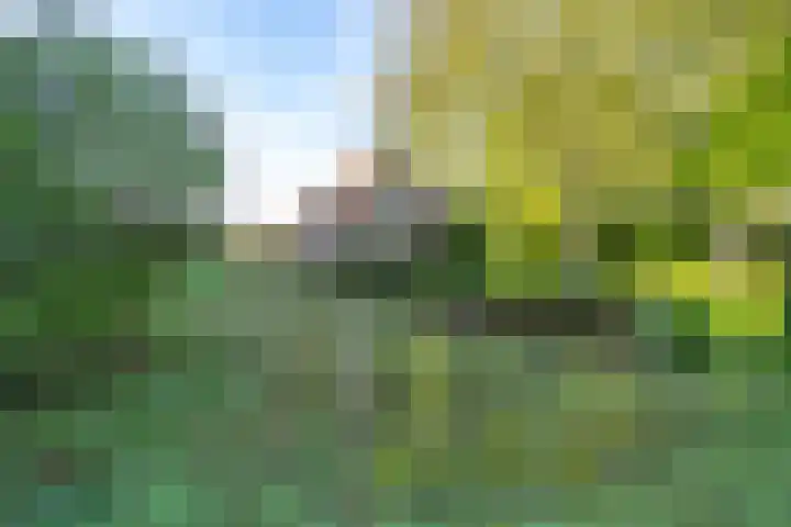 Haneman 3 Winssen thumbnail 89