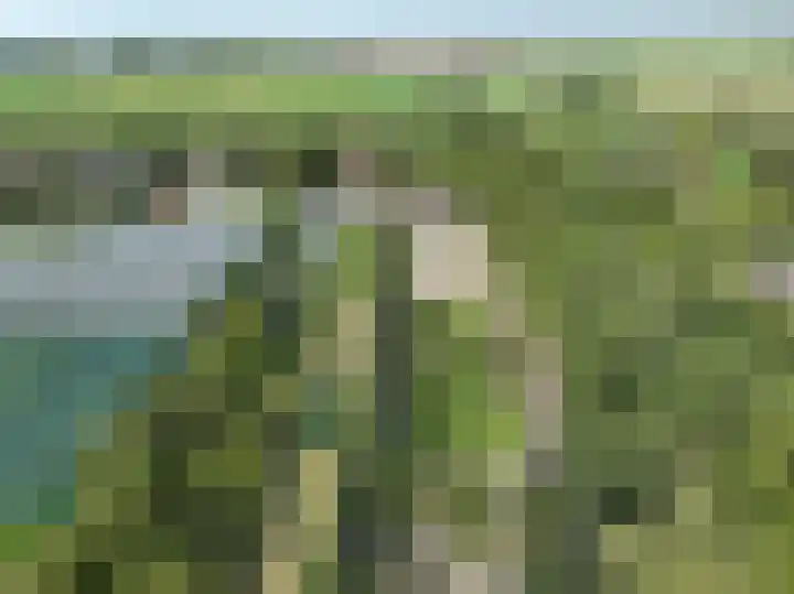 Haneman 3 Winssen thumbnail 9