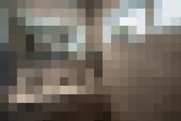Hanendorperweg 2 Emst thumbnail 13