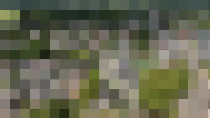 Hanendorperweg 2 Emst thumbnail 30