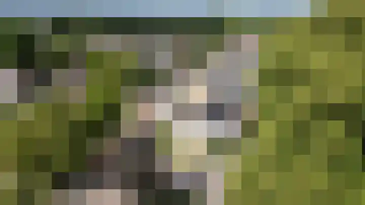 Hanendorperweg 2 Emst thumbnail 31