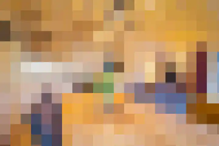 Hanendorperweg 352 Emst thumbnail 11
