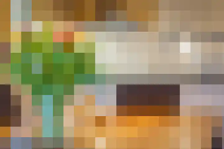 Hanendorperweg 352 Emst thumbnail 12