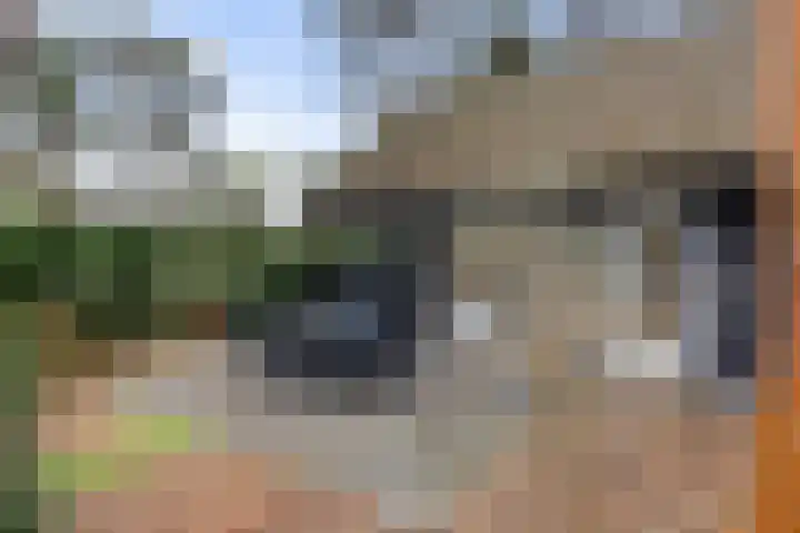 Hanendorperweg 352 Emst thumbnail 31