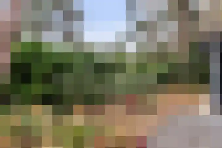 Hanendorperweg 352 Emst thumbnail 32