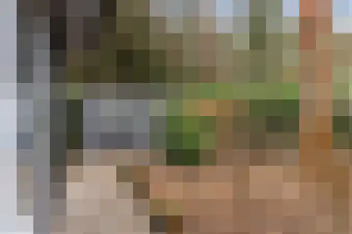Hanendorperweg 352 Emst thumbnail 34