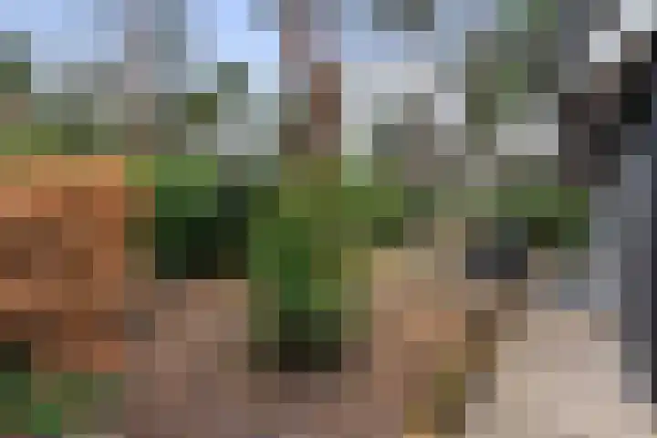 Hanendorperweg 352 Emst thumbnail 35