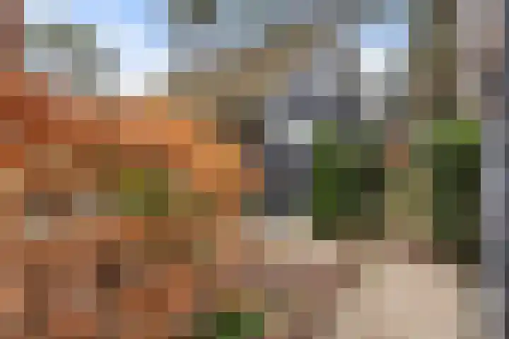 Hanendorperweg 352 Emst thumbnail 37