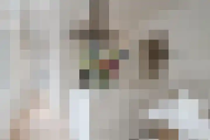 Hanendorperweg 352 Emst thumbnail 38