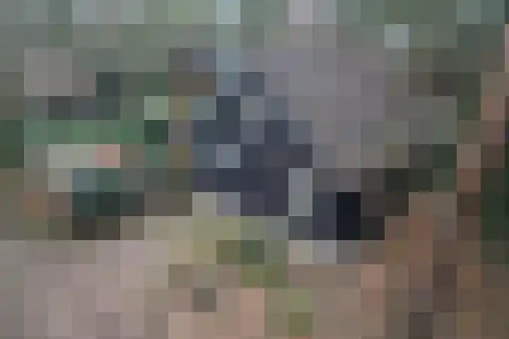 Hanendorperweg 352 Emst thumbnail 4