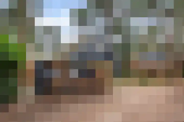 Hanendorperweg 352 Emst thumbnail 40