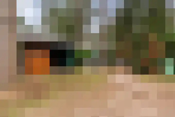 Hanendorperweg 352 Emst thumbnail 41