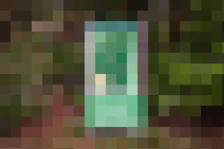 Hanendorperweg 352 Emst thumbnail 42