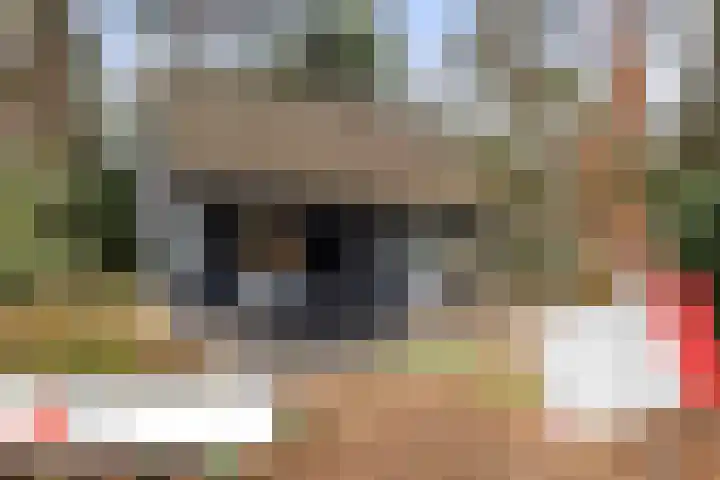 Hanendorperweg 352 Emst thumbnail 43