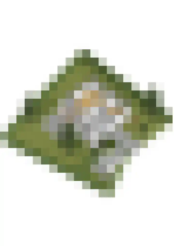 Hanendorperweg 352 Emst thumbnail 49