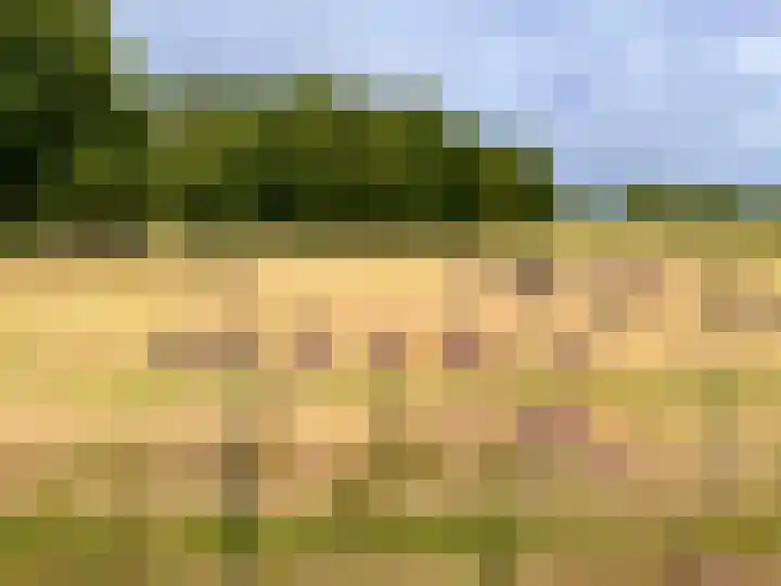 Hanendorperweg 512 114 Emst thumbnail 28