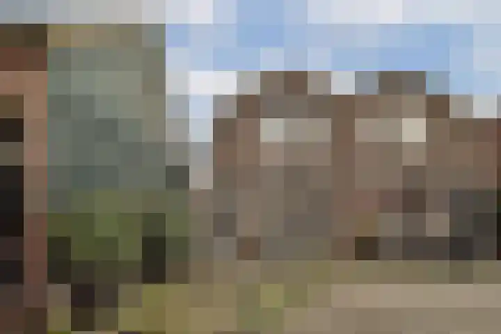 Hanenpad 39 Zaandam thumbnail 4
