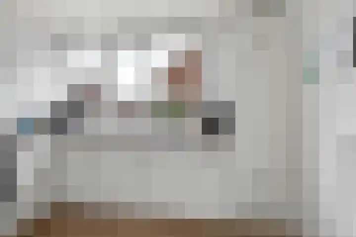 Hanenslag 19 Geesteren thumbnail 11
