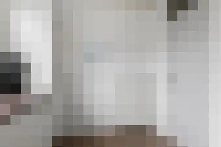 Hanenslag 19 Geesteren thumbnail 12