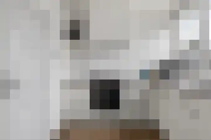 Hanenslag 19 Geesteren thumbnail 13