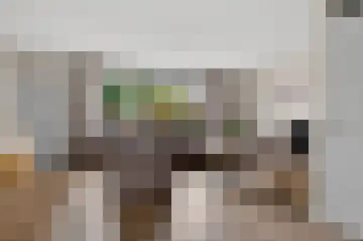 Hanenslag 19 Geesteren thumbnail 18
