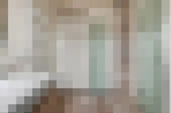 Hanenslag 19 Geesteren thumbnail 23
