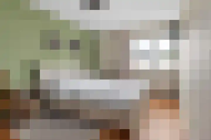 Hanenslag 19 Geesteren thumbnail 24