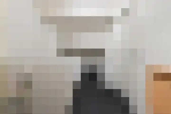 Hanenslag 19 Geesteren thumbnail 33