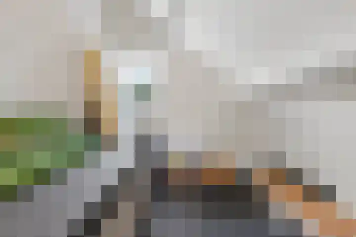 Hanenslag 19 Geesteren thumbnail 35