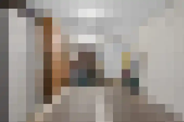 Hanenslag 19 Geesteren thumbnail 39