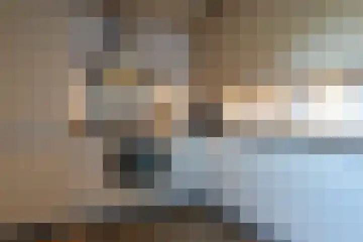 Hanerak 9 Harlingen thumbnail 19