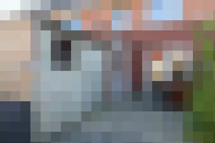 Hanerak 9 Harlingen thumbnail 49