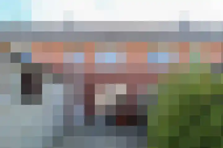 Hanerak 9 Harlingen thumbnail 51