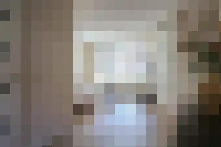 Hanerak 9 Harlingen thumbnail 7